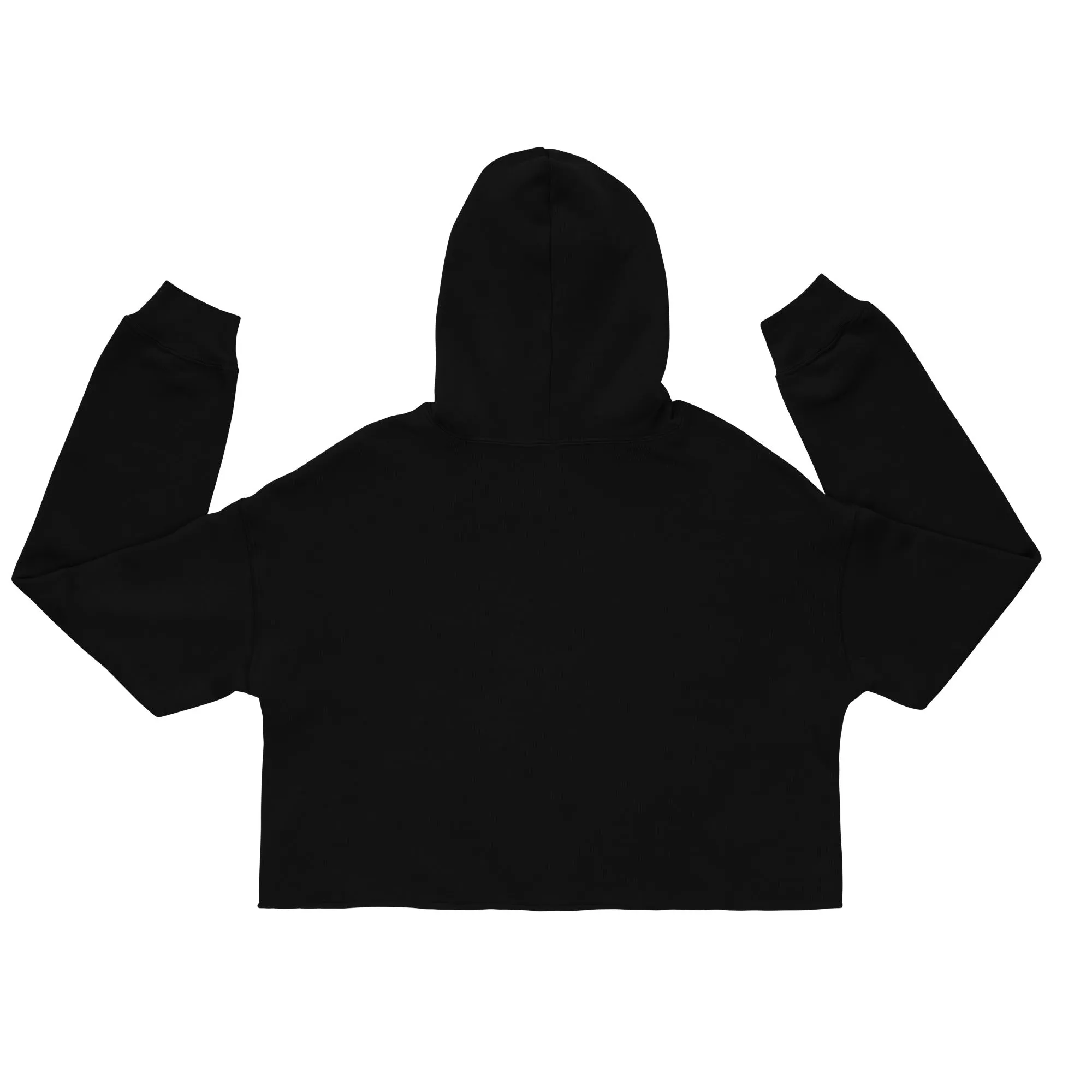 EXCELLENCE WITHIN: Crop Hoodie