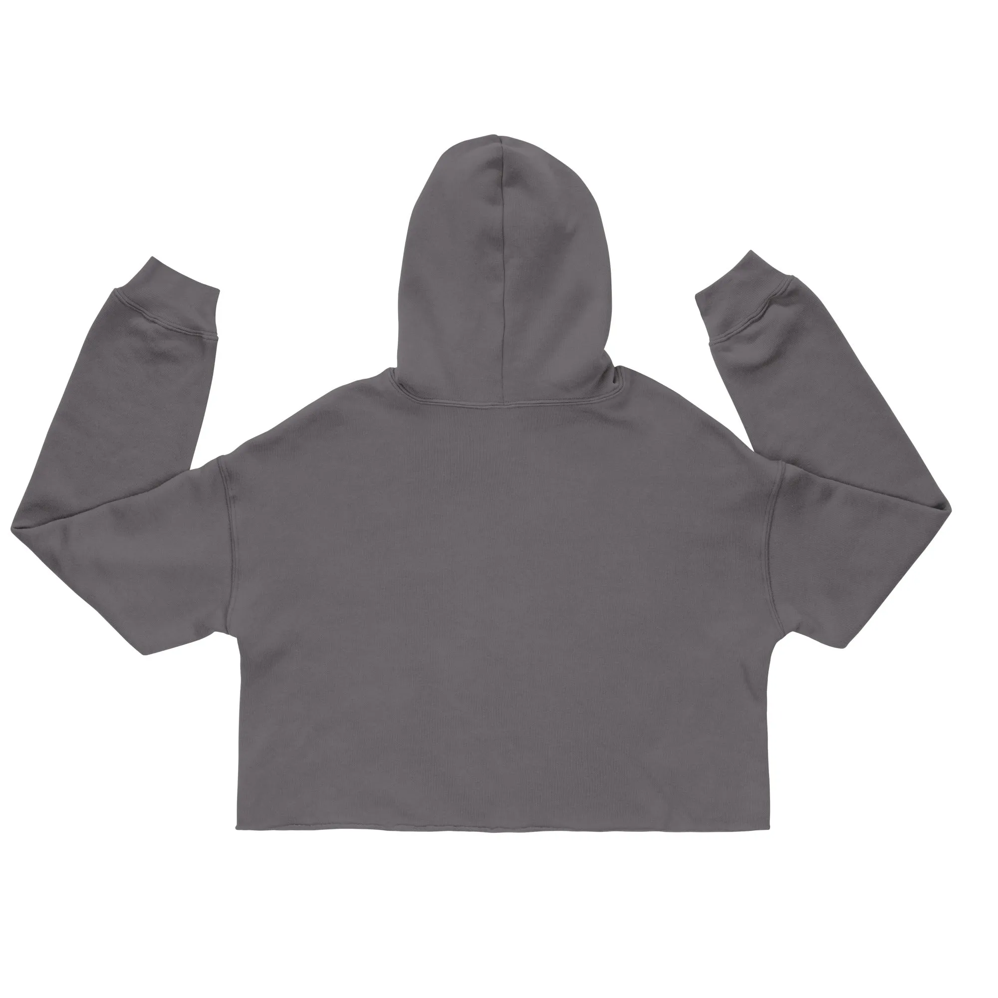 EXCELLENCE WITHIN: Crop Hoodie