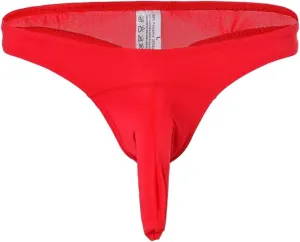 Men's Sexy Briefs Breathable Comfortable Mesh Bikini Underwear Silky Swim Briefs Swimwear Adult Thongs for Men Red